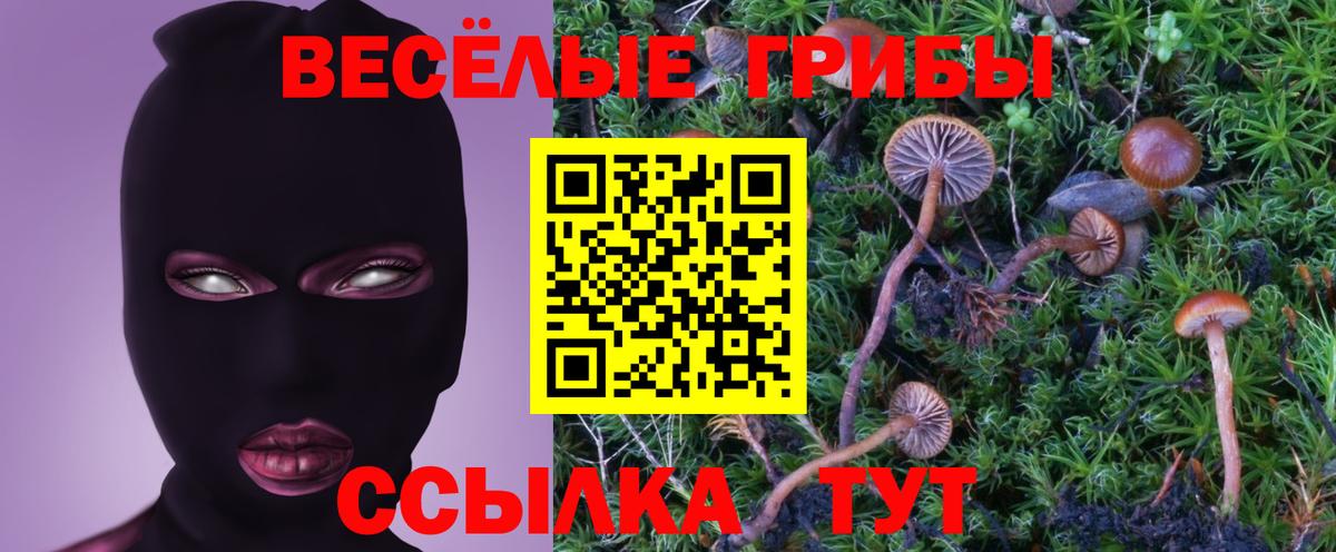 Елец  купить закладку  Вход с VPN  Галлюциногенные грибы прущие грибы  Псилоцибиновые грибы мухоморы 