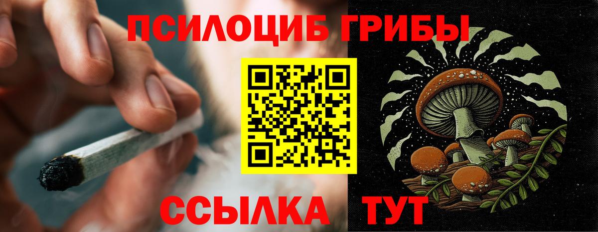 Галлюциногенные грибы Magic Shrooms Елец